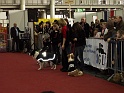Heimtiermesse 2009   069